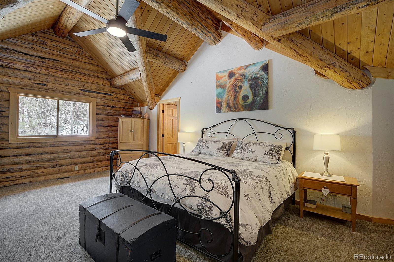 MLS Image #12 for 58  conestoga court,bailey, Colorado