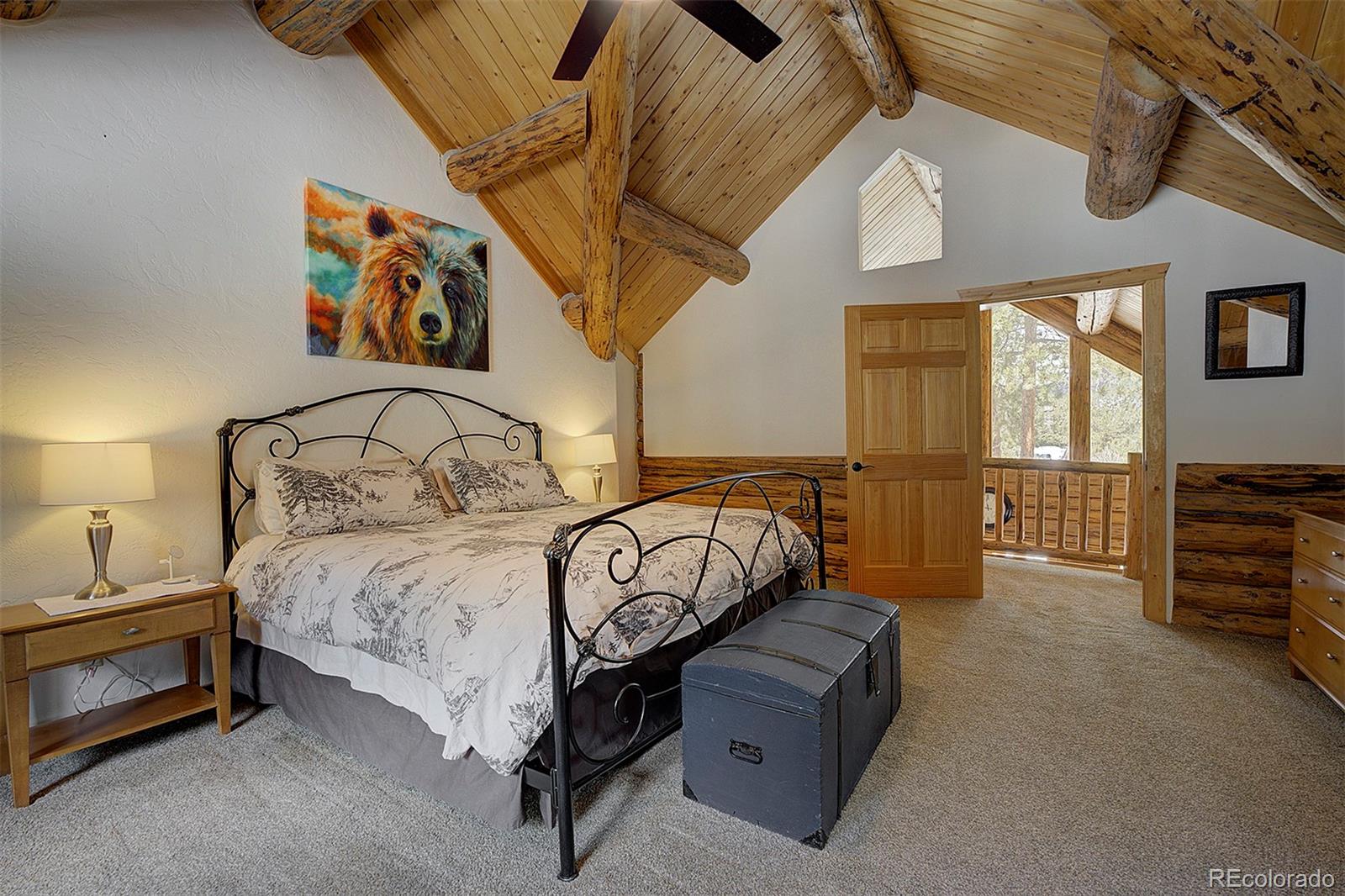 MLS Image #13 for 58  conestoga court,bailey, Colorado