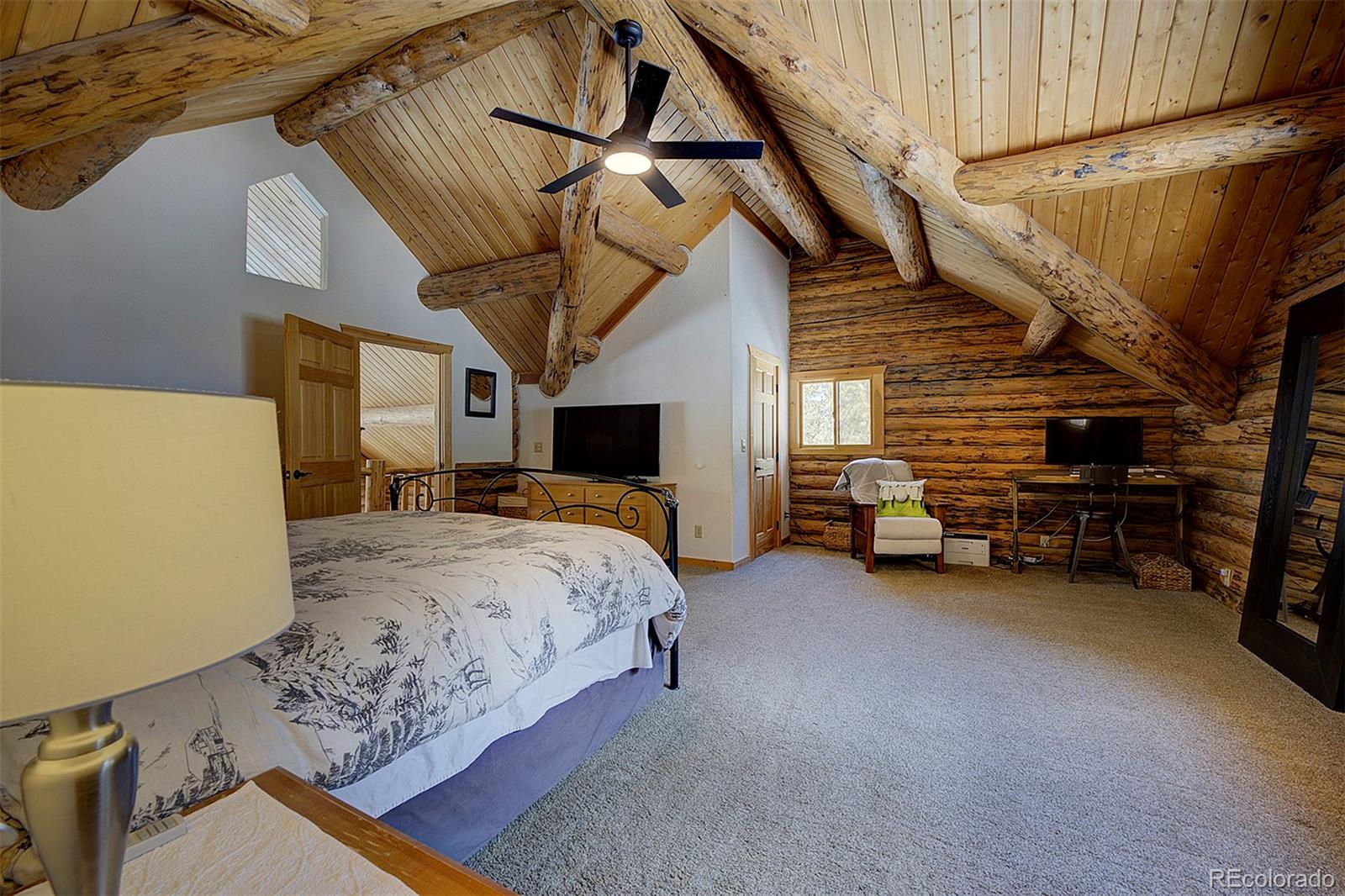 MLS Image #14 for 58  conestoga court,bailey, Colorado
