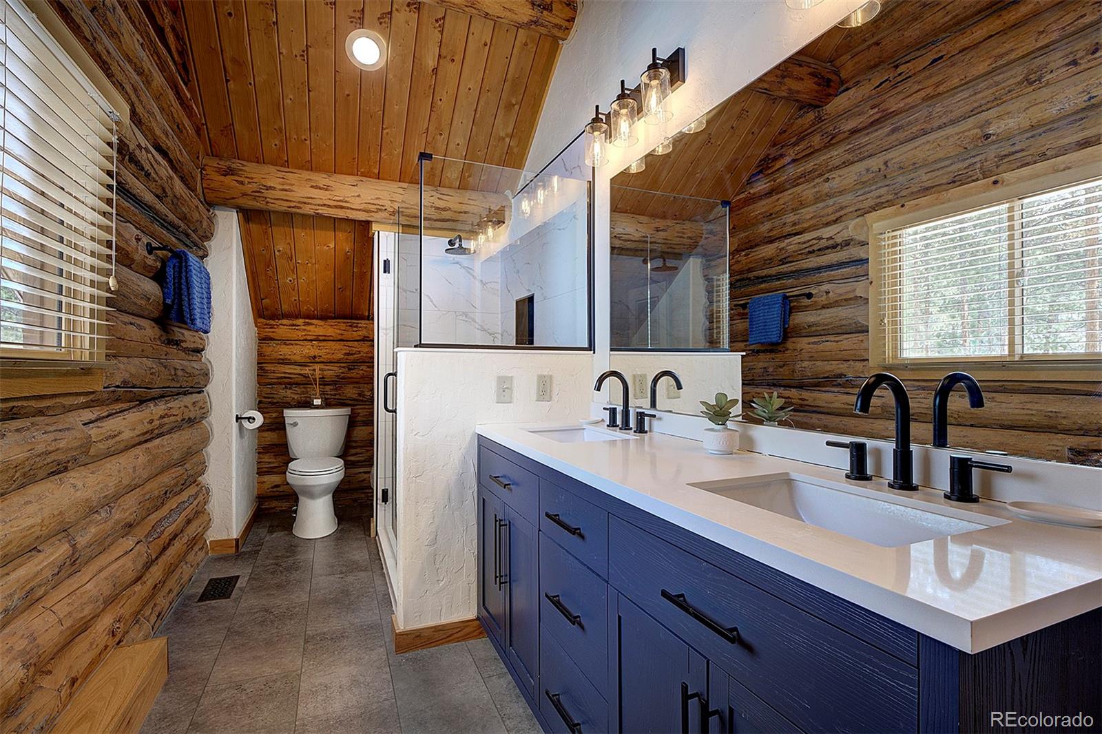 MLS Image #15 for 58  conestoga court,bailey, Colorado