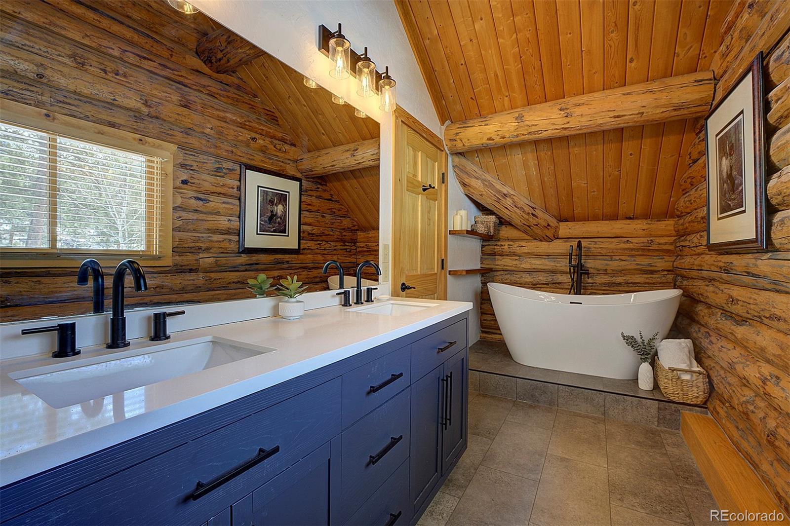 MLS Image #16 for 58  conestoga court,bailey, Colorado