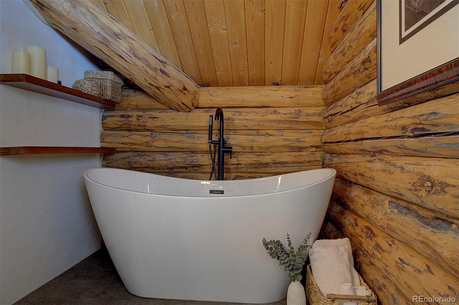 MLS Image #17 for 58  conestoga court,bailey, Colorado