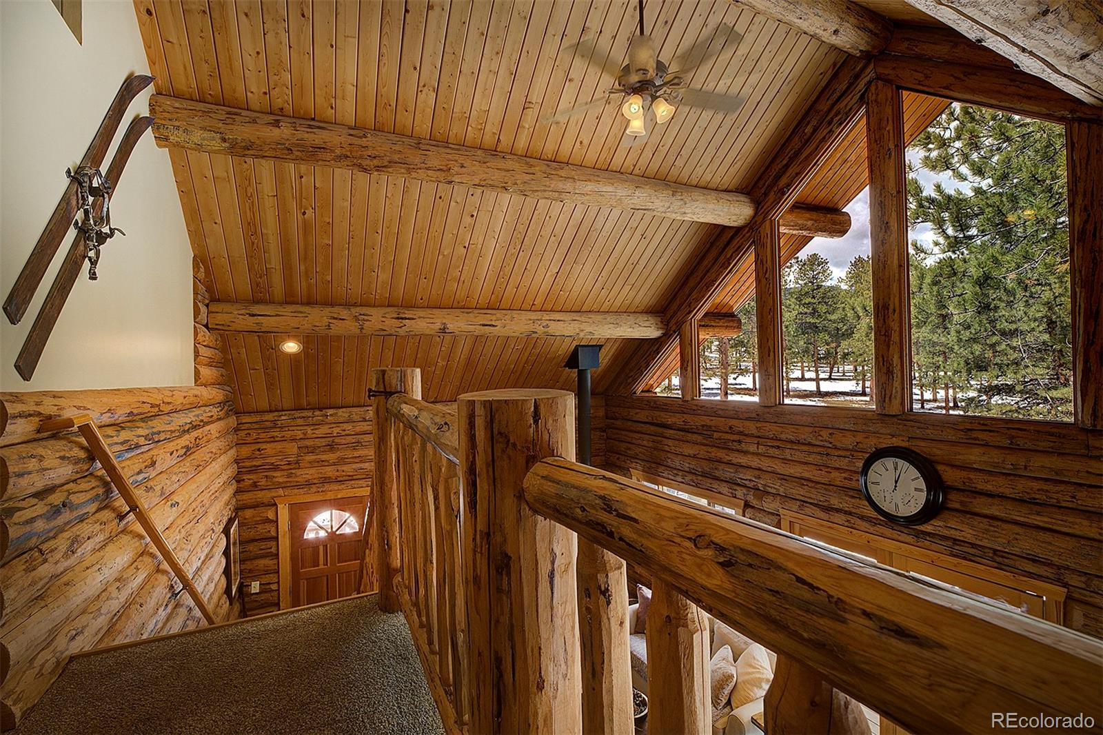 MLS Image #18 for 58  conestoga court,bailey, Colorado