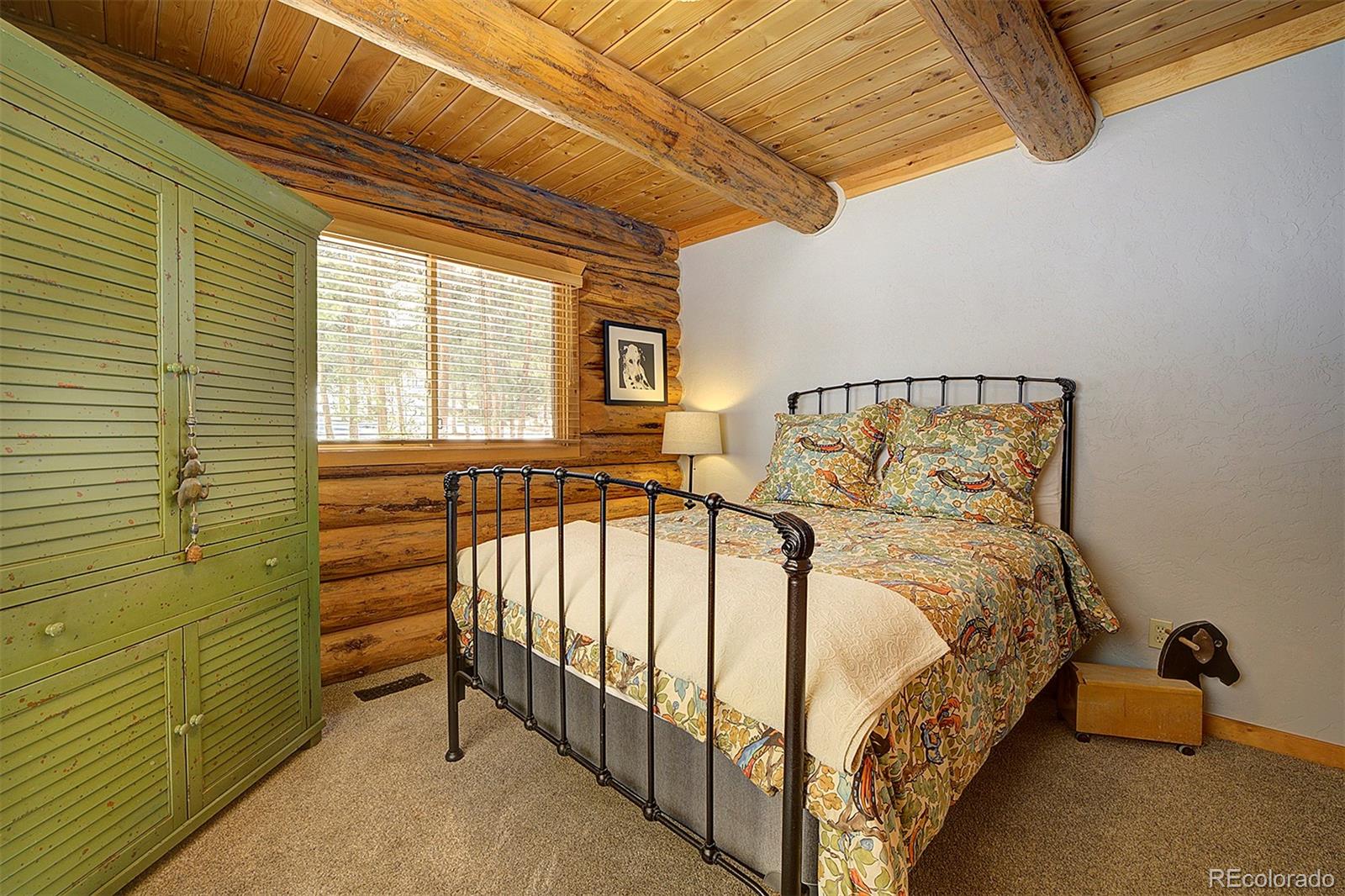 MLS Image #21 for 58  conestoga court,bailey, Colorado