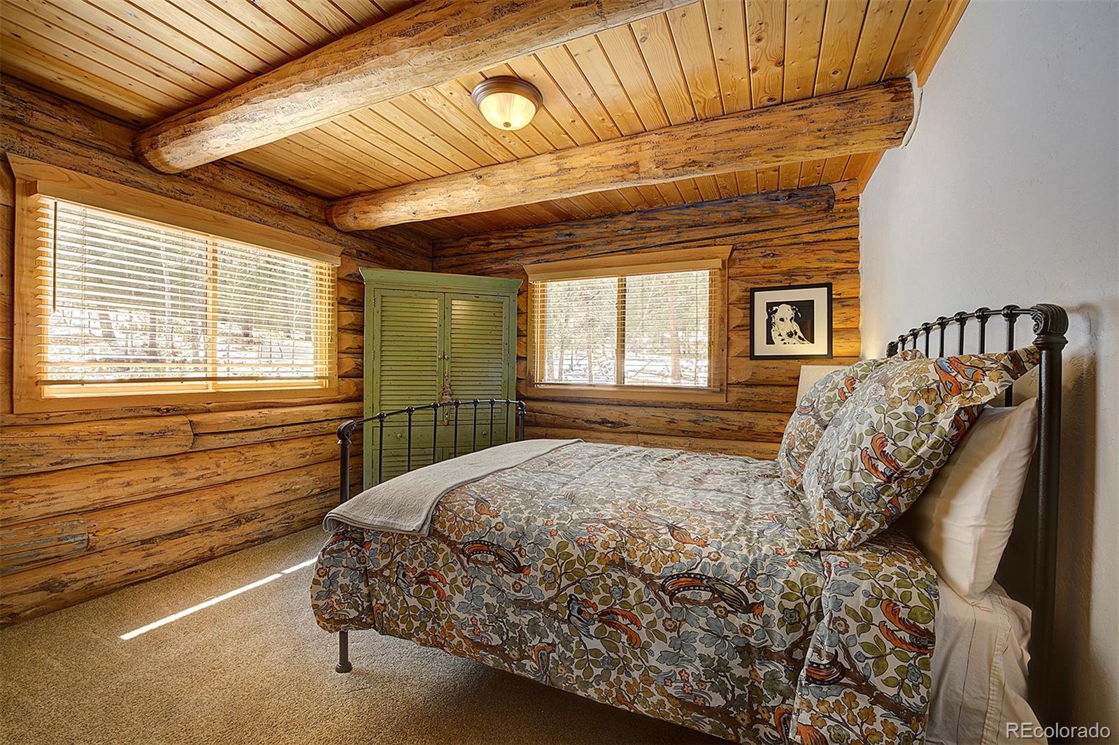 MLS Image #22 for 58  conestoga court,bailey, Colorado