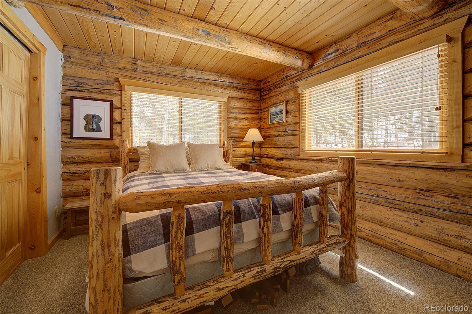 MLS Image #23 for 58  conestoga court,bailey, Colorado