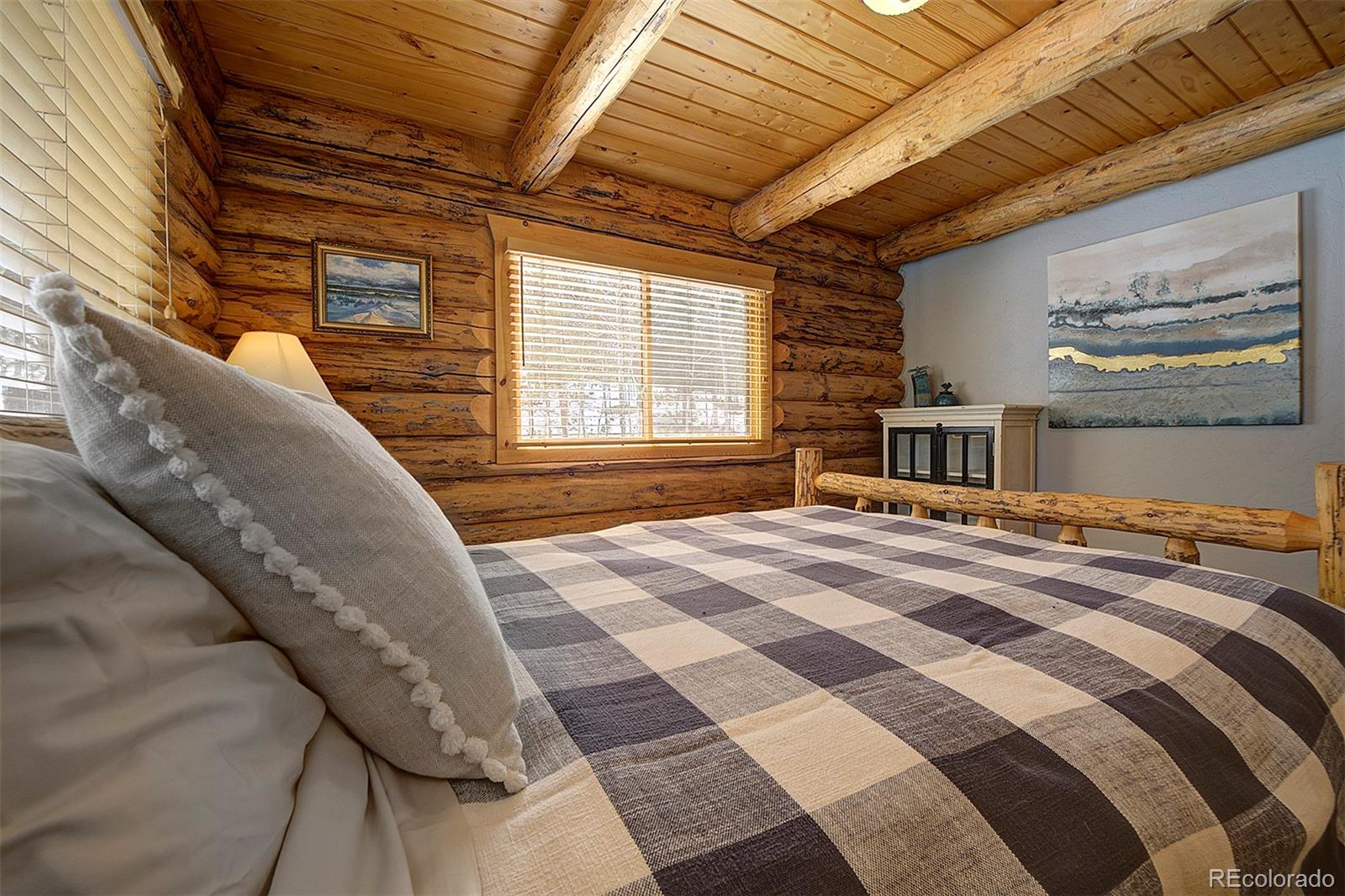 MLS Image #24 for 58  conestoga court,bailey, Colorado