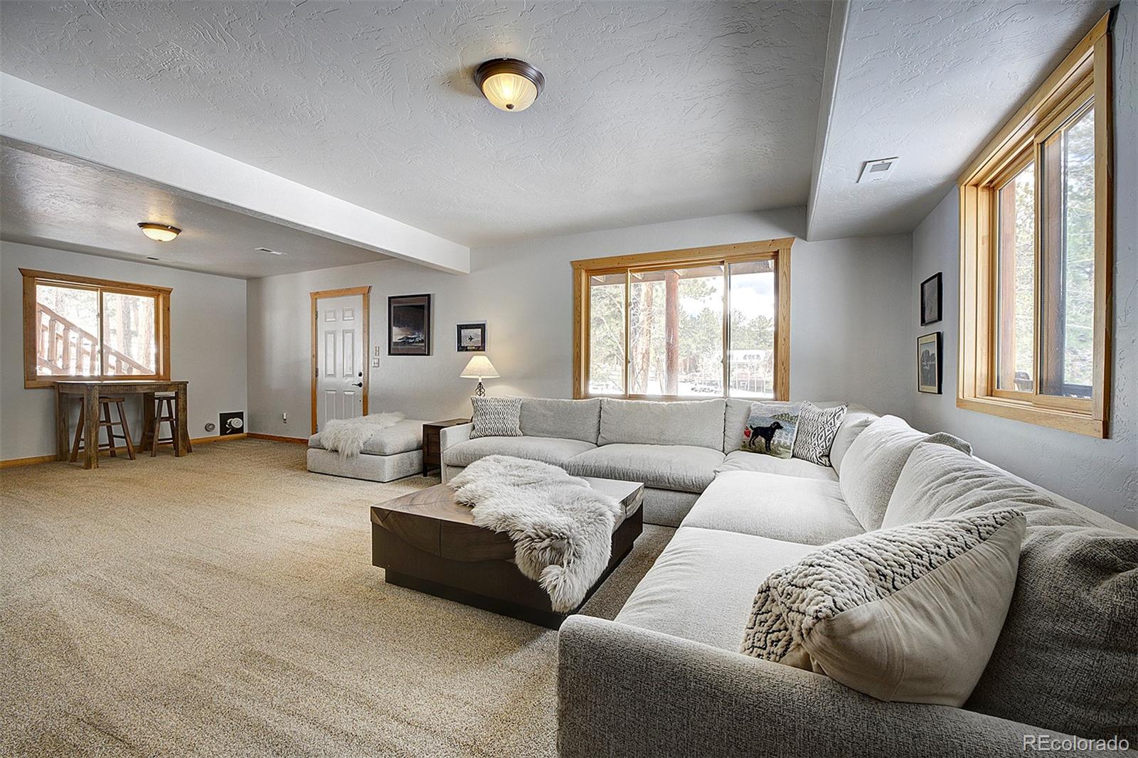 MLS Image #28 for 58  conestoga court,bailey, Colorado