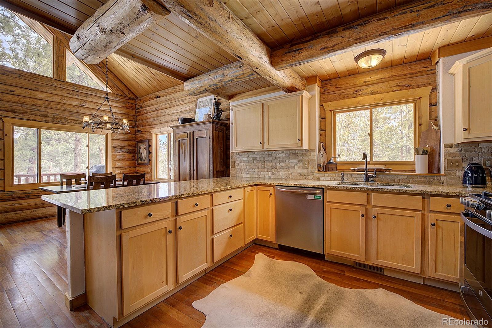 MLS Image #9 for 58  conestoga court,bailey, Colorado