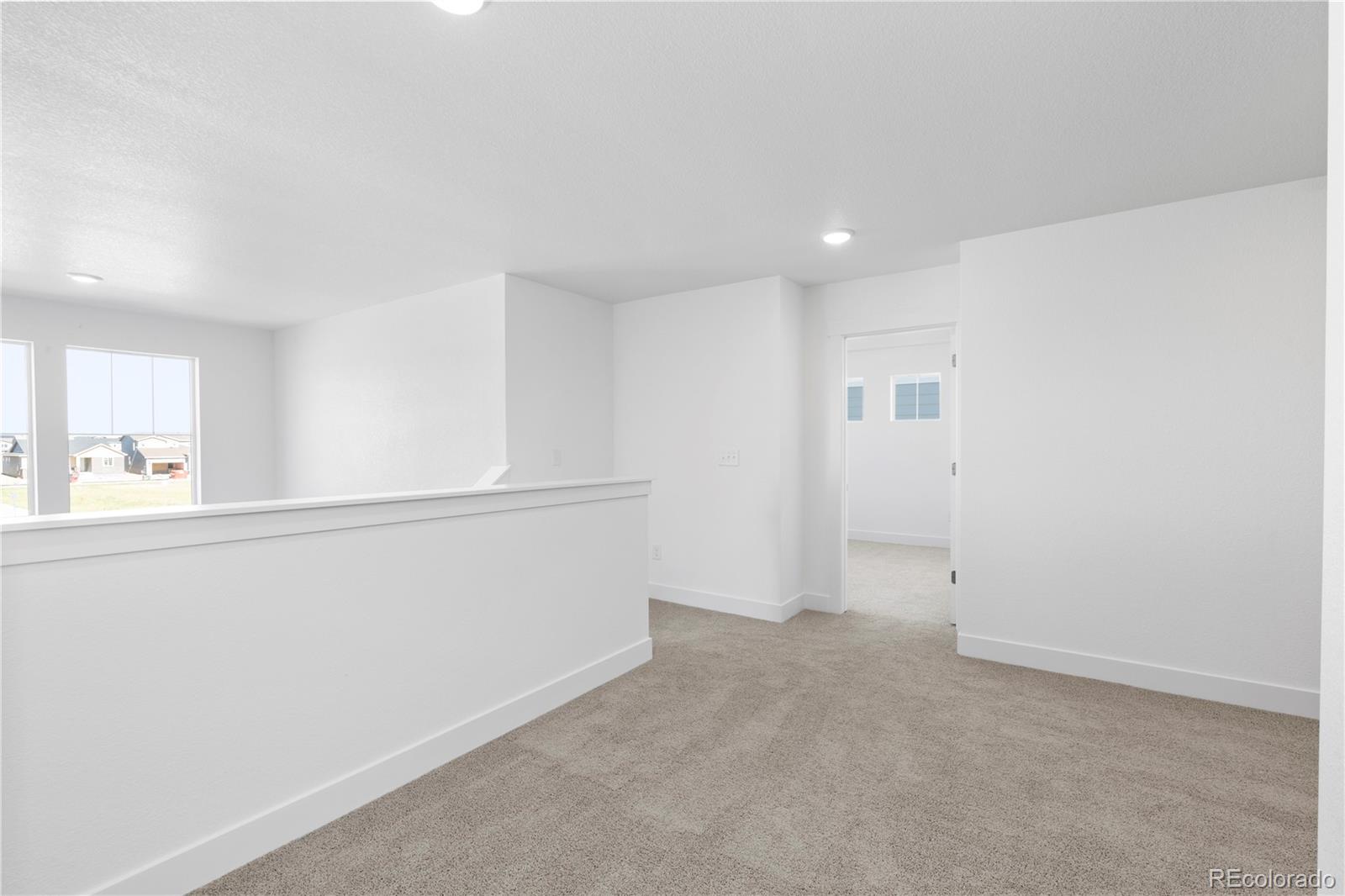 MLS Image #23 for 4492  burl street,timnath, Colorado