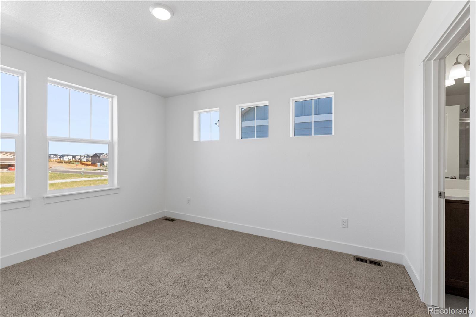 MLS Image #28 for 4492  burl street,timnath, Colorado