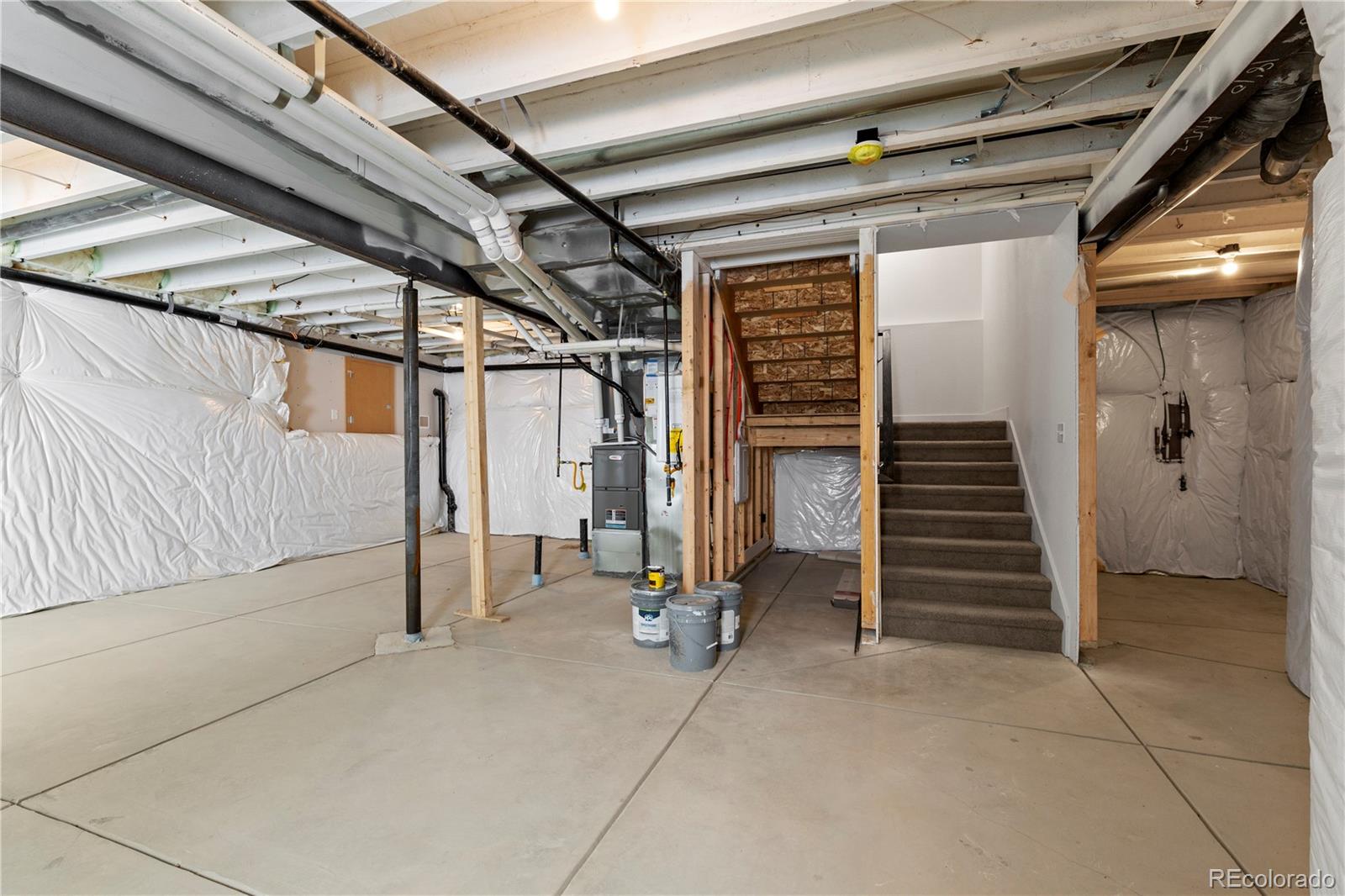 MLS Image #35 for 4492  burl street,timnath, Colorado