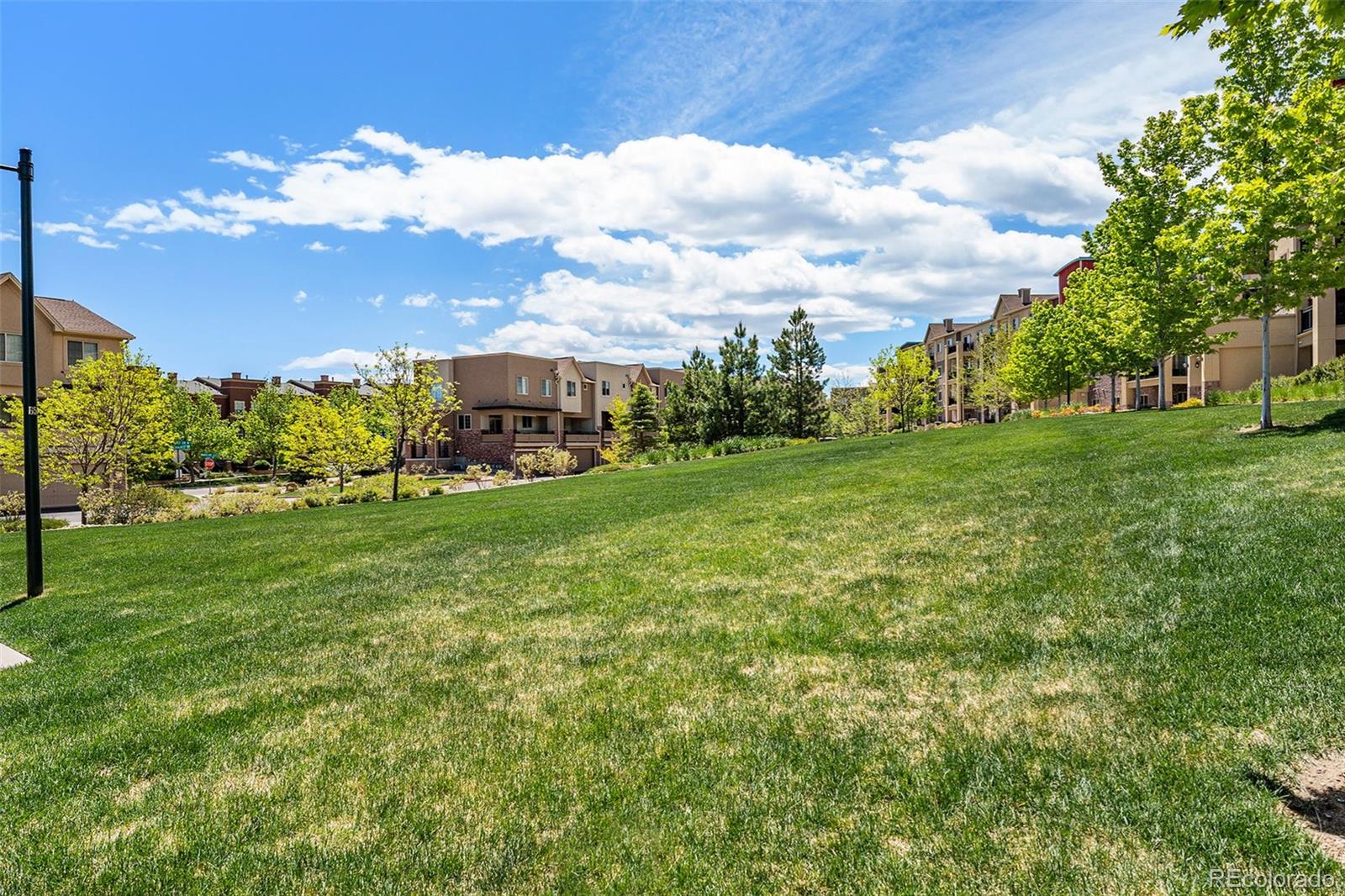 MLS Image #25 for 1144  rockhurst drive,highlands ranch, Colorado