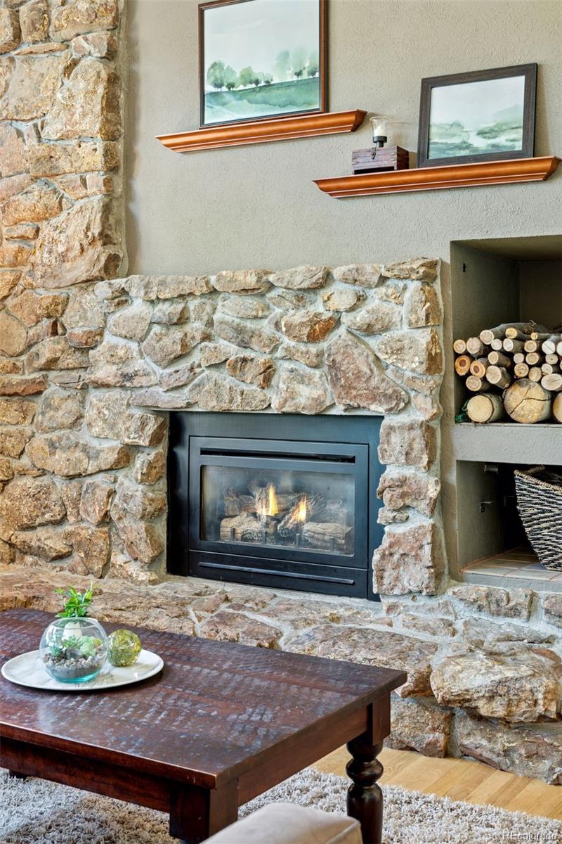 MLS Image #17 for 6083 s glencoe way,centennial, Colorado