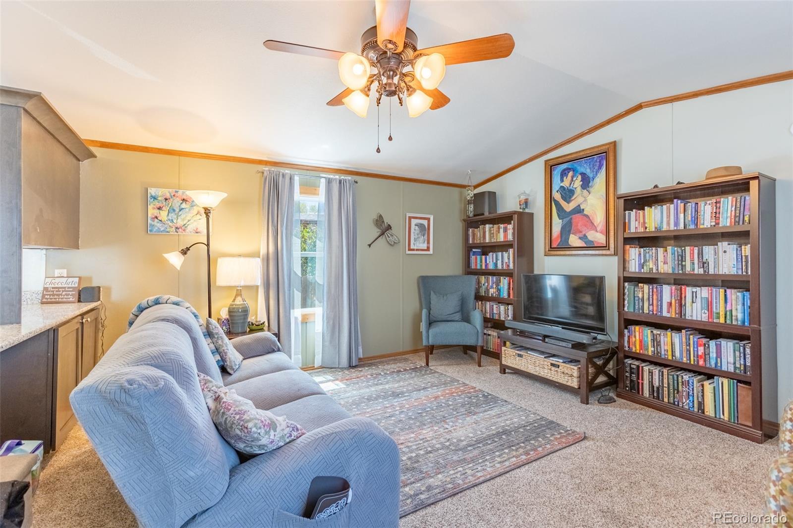 MLS Image #15 for 910  j street,salida, Colorado