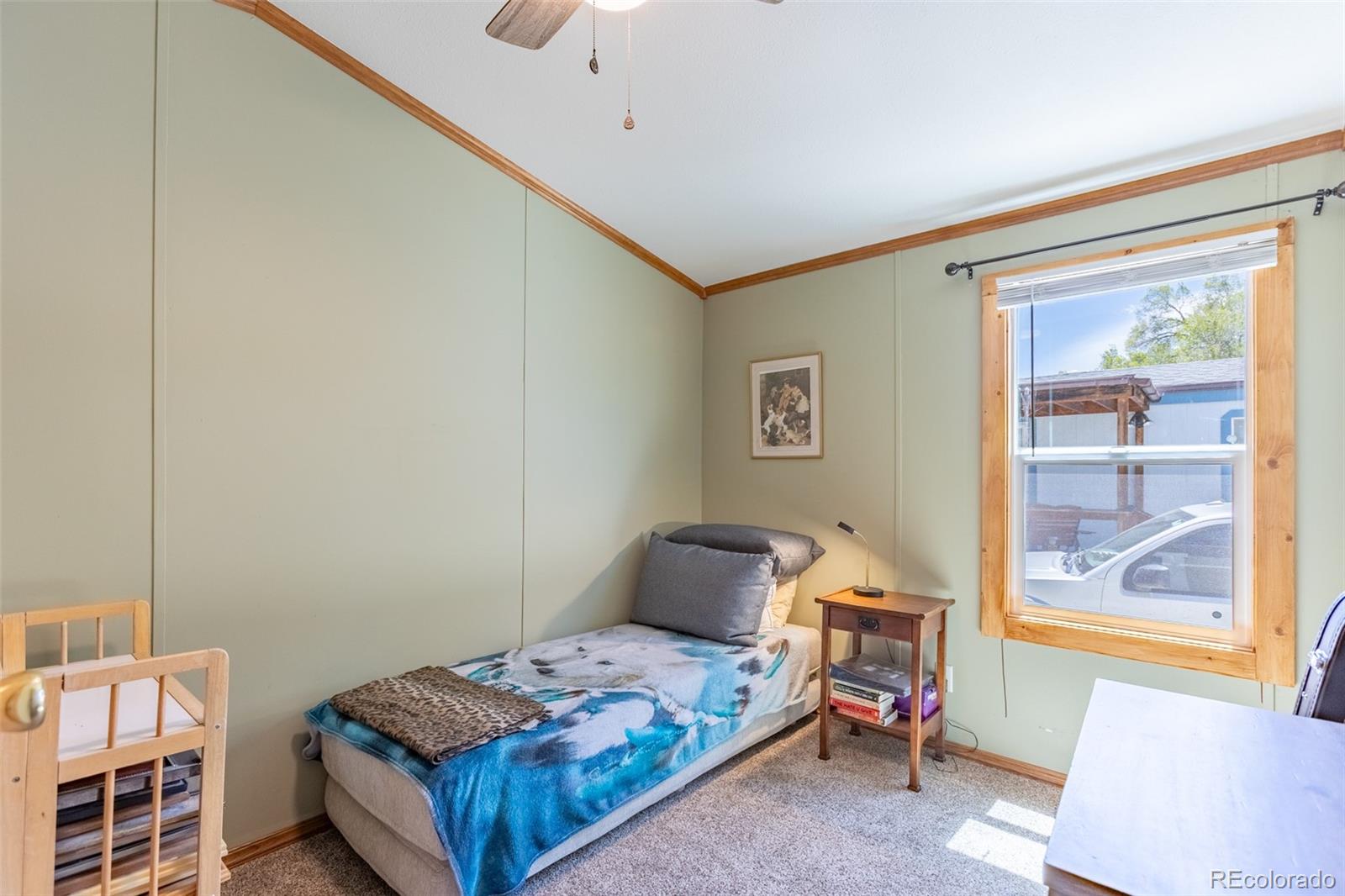 MLS Image #28 for 910  j street,salida, Colorado
