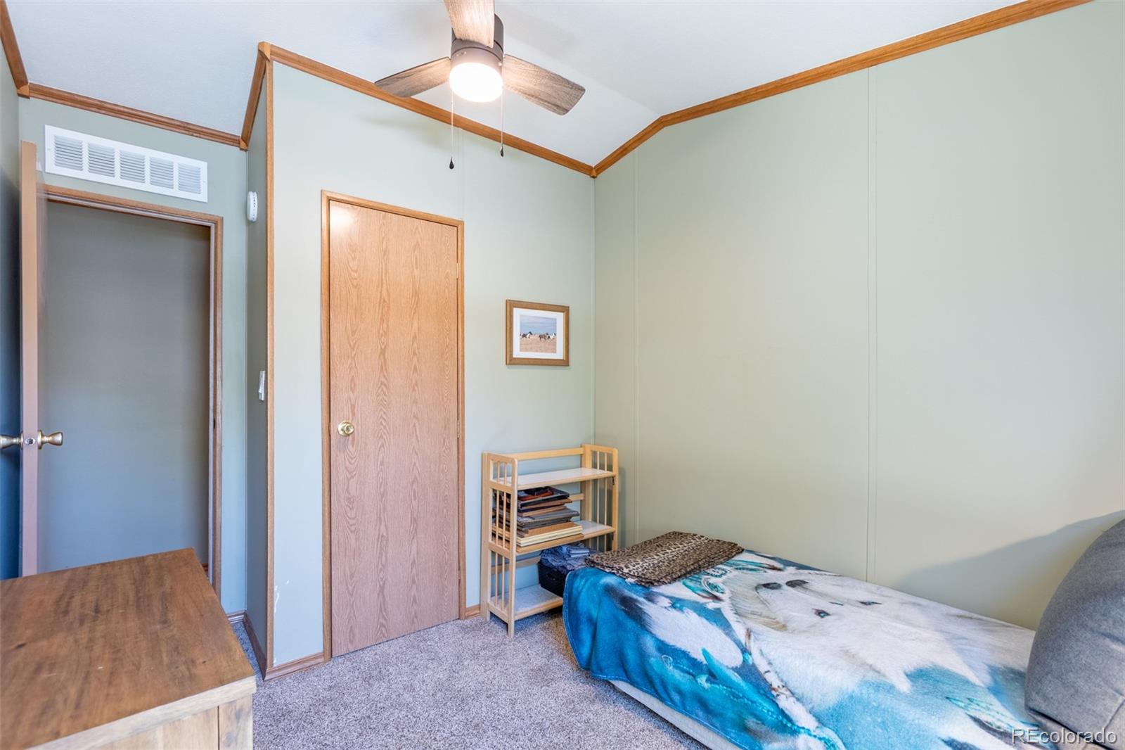 MLS Image #29 for 910  j street,salida, Colorado