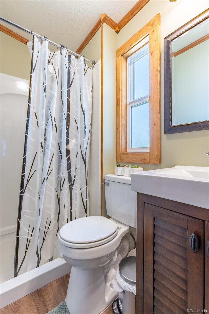 MLS Image #31 for 910  j street,salida, Colorado