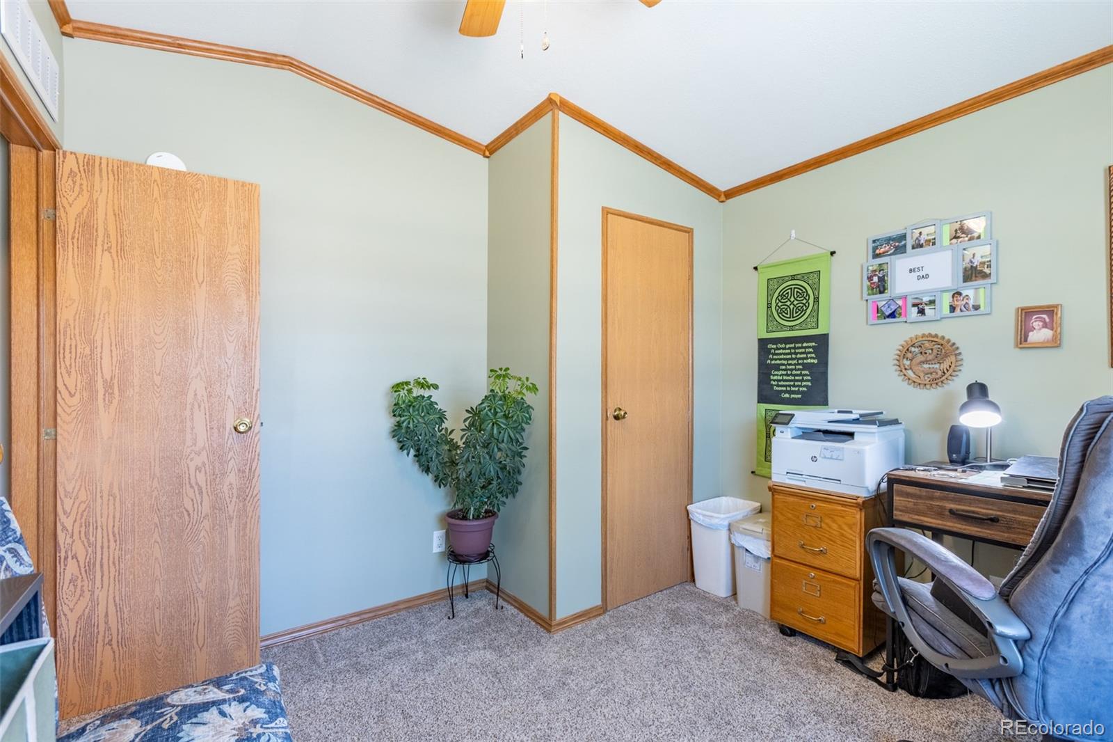 MLS Image #33 for 910  j street,salida, Colorado