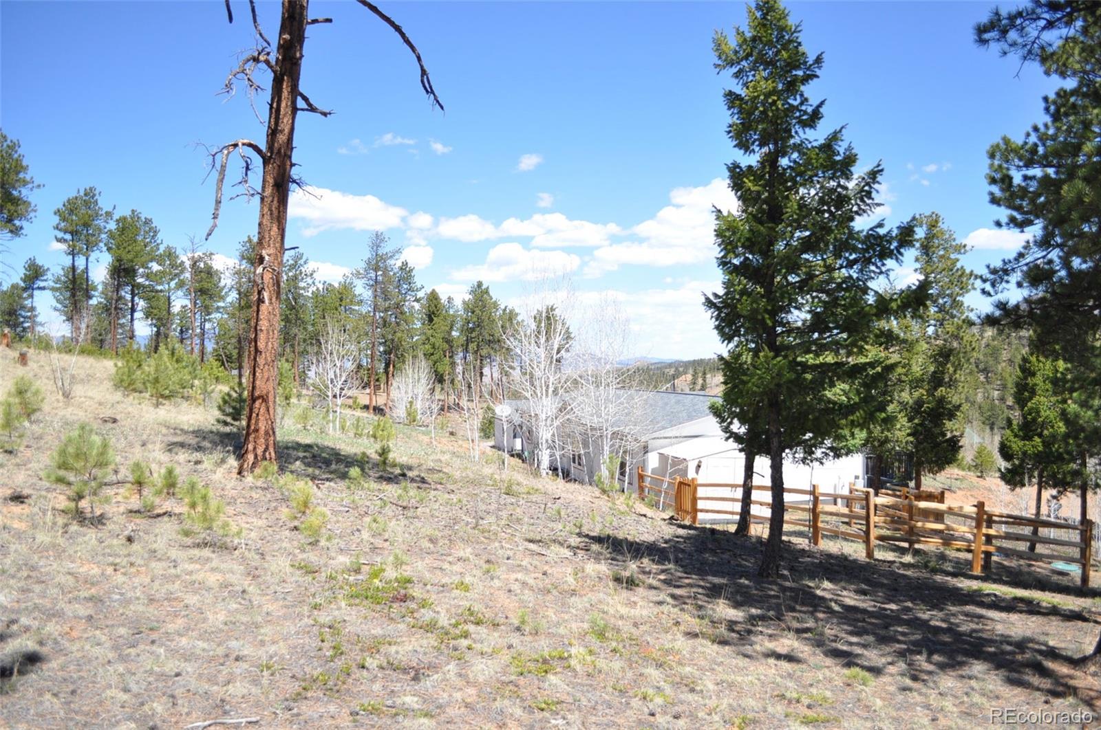 MLS Image #31 for 1395  appleby drive,woodland park, Colorado