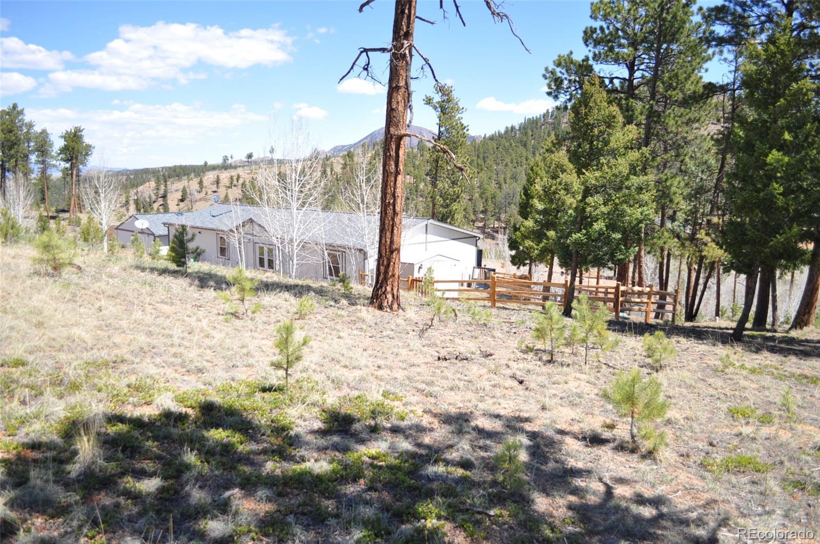MLS Image #32 for 1395  appleby drive,woodland park, Colorado