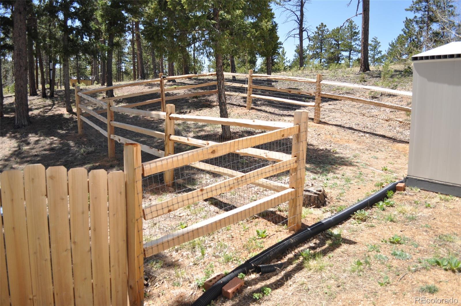 MLS Image #6 for 1395  appleby drive,woodland park, Colorado