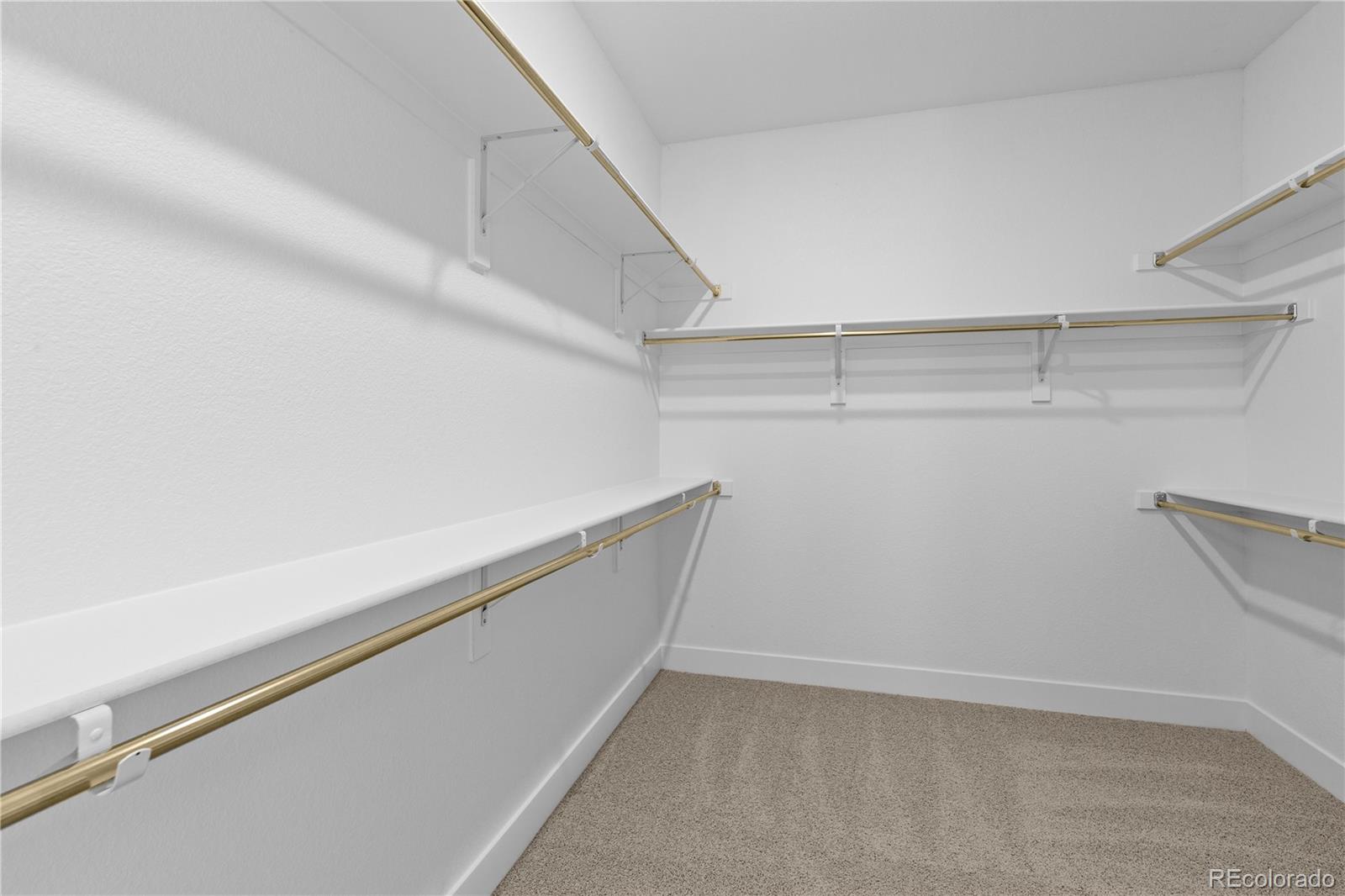 MLS Image #20 for 6129  zebulon place,timnath, Colorado