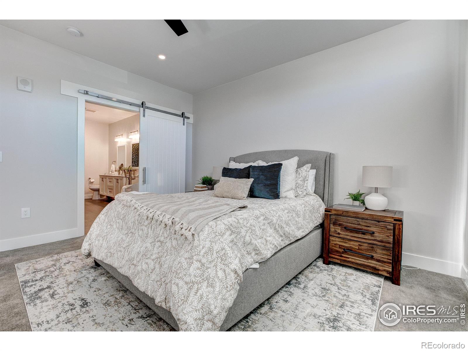 MLS Image #11 for 221 e mountain avenue,fort collins, Colorado