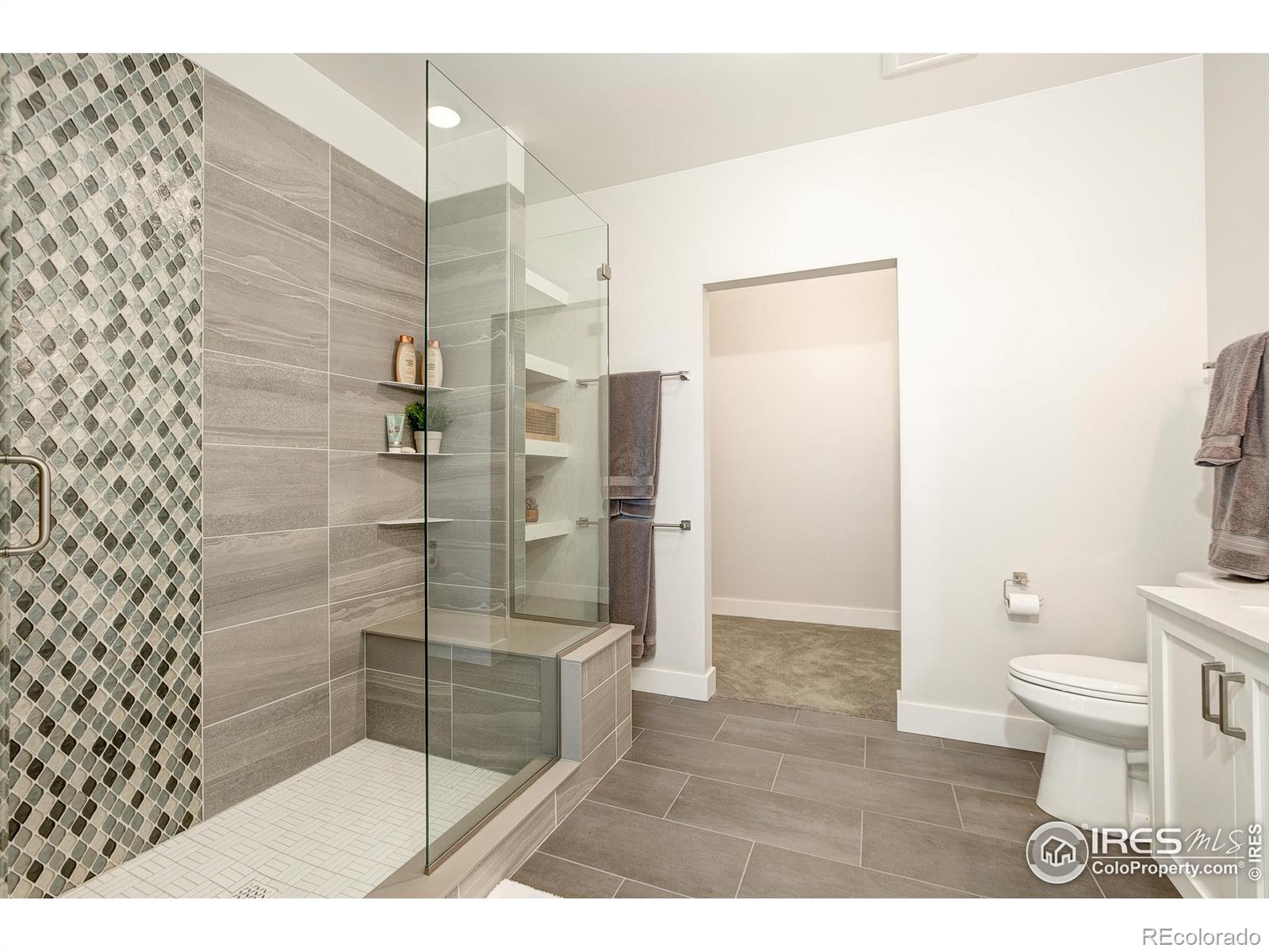 MLS Image #9 for 221 e mountain avenue,fort collins, Colorado