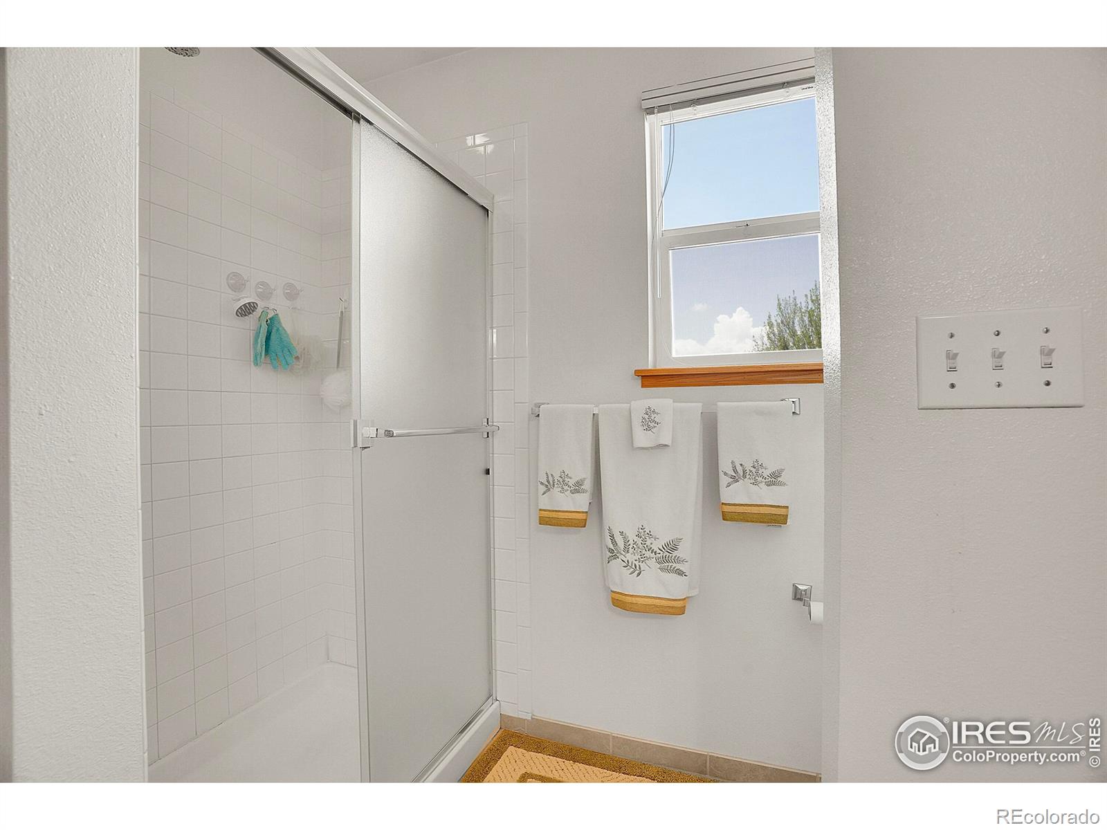 MLS Image #17 for 2410  key court,longmont, Colorado