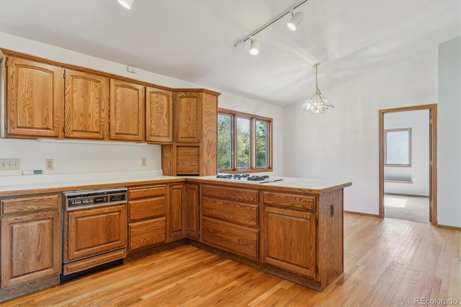 MLS Image #14 for 53  taylor court,castle rock, Colorado