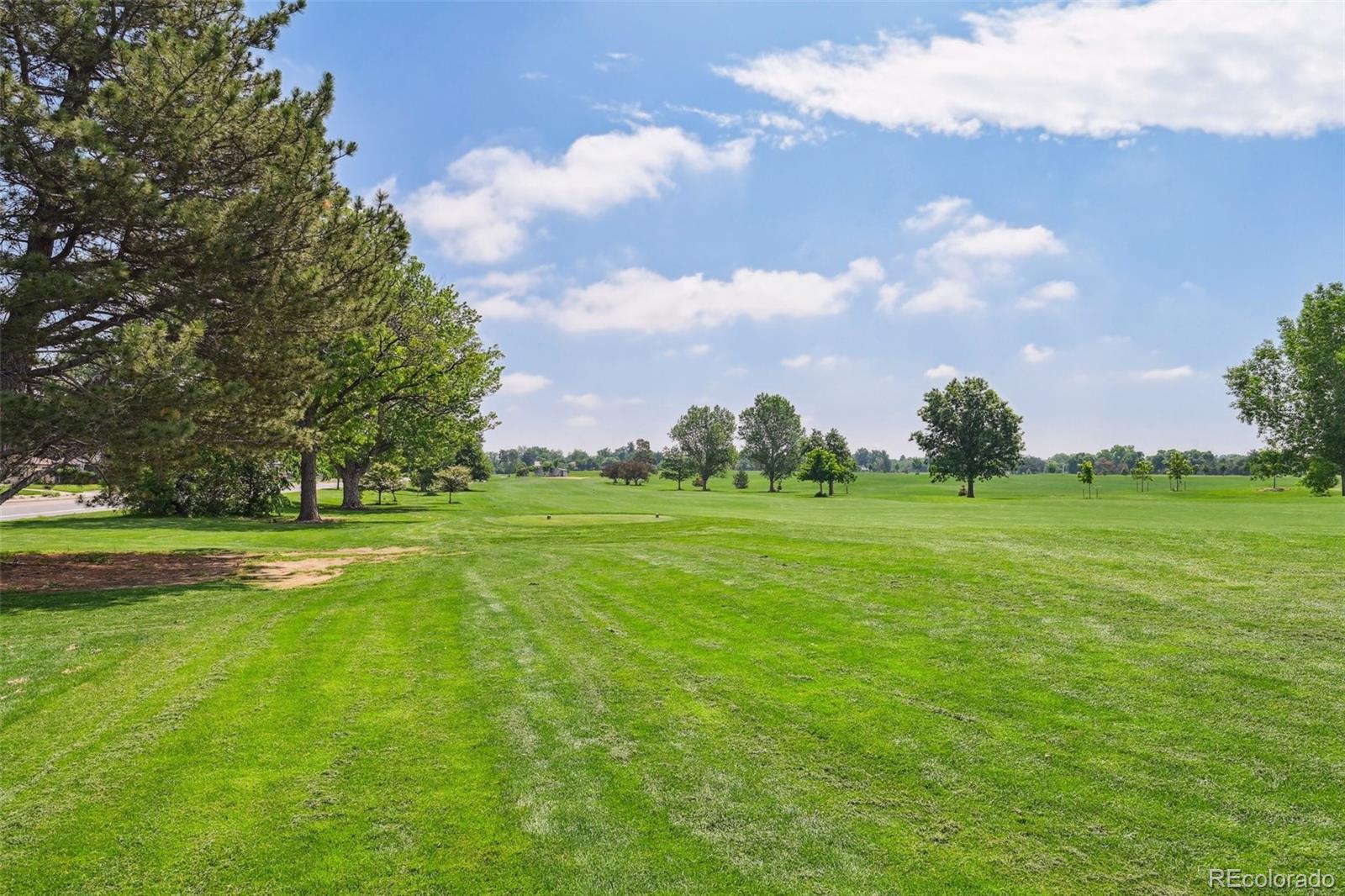MLS Image #35 for 3482 e 28th avenue,denver, Colorado