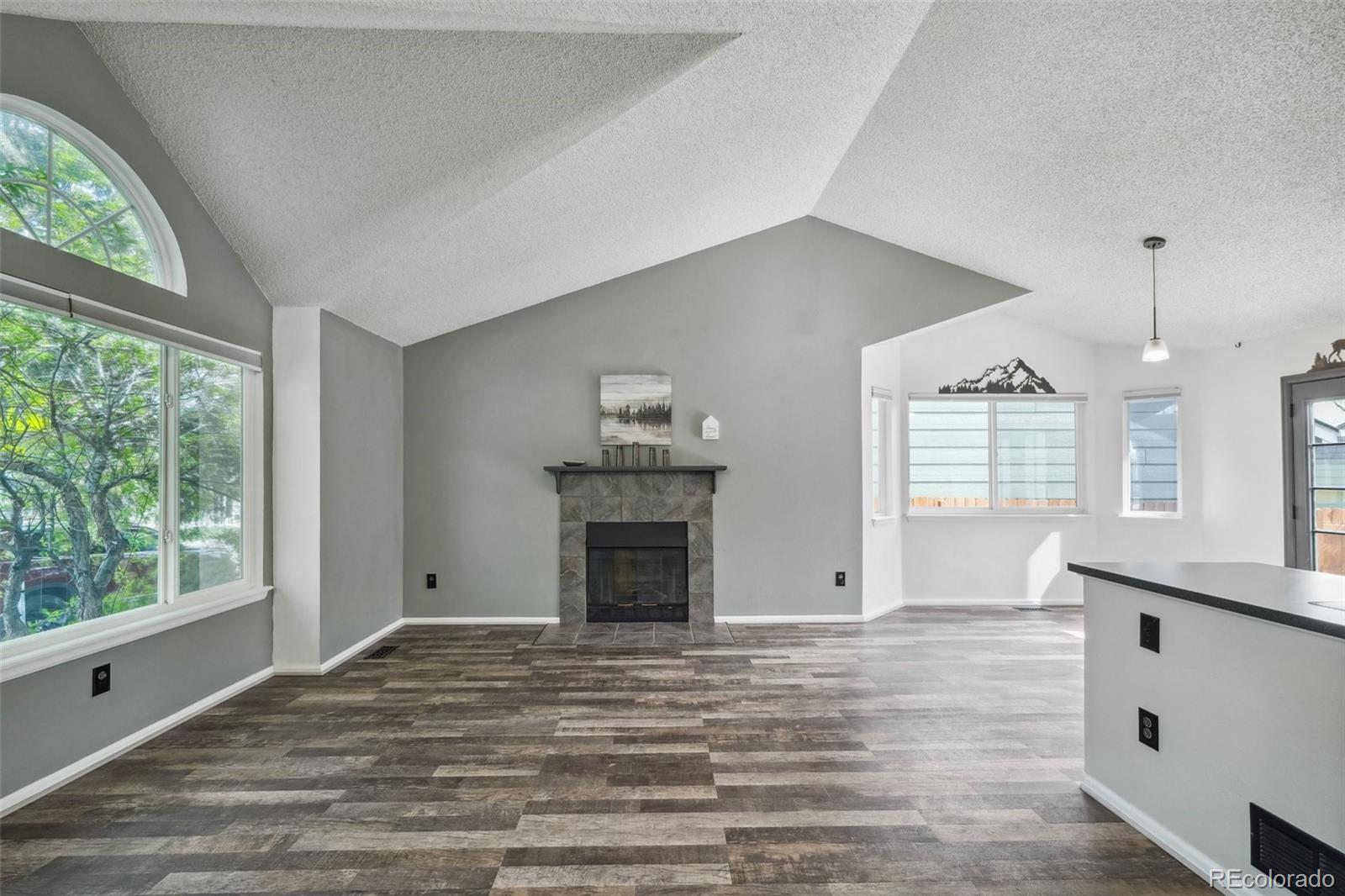 MLS Image #5 for 68 n quicksilver avenue,castle rock, Colorado