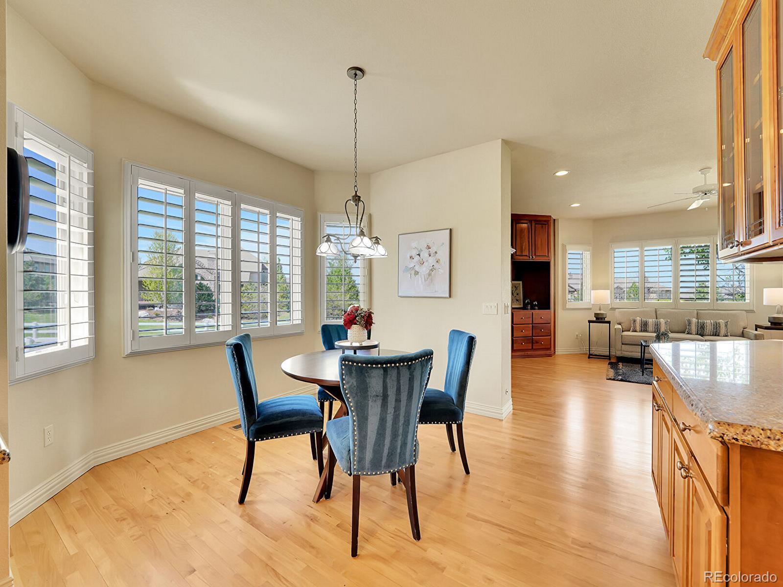 MLS Image #22 for 485  sapphire drive,castle rock, Colorado