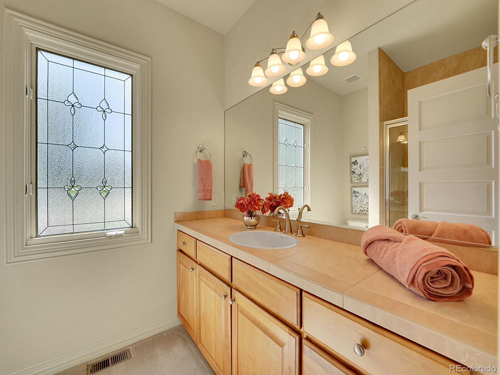MLS Image #27 for 485  sapphire drive,castle rock, Colorado