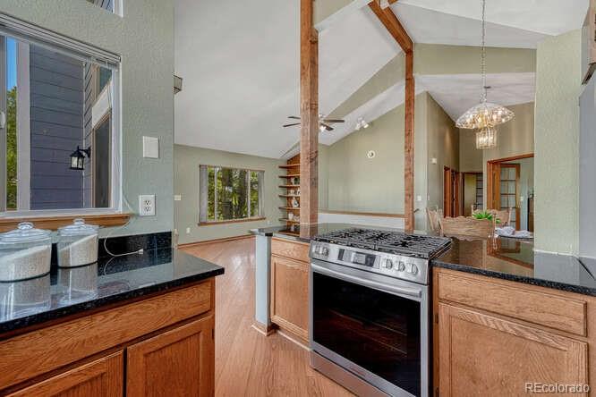 MLS Image #13 for 10534  inspiration drive,parker, Colorado