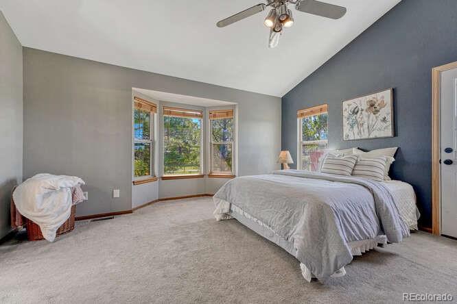 MLS Image #19 for 10534  inspiration drive,parker, Colorado