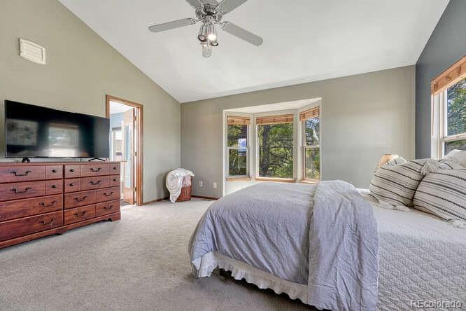 MLS Image #21 for 10534  inspiration drive,parker, Colorado