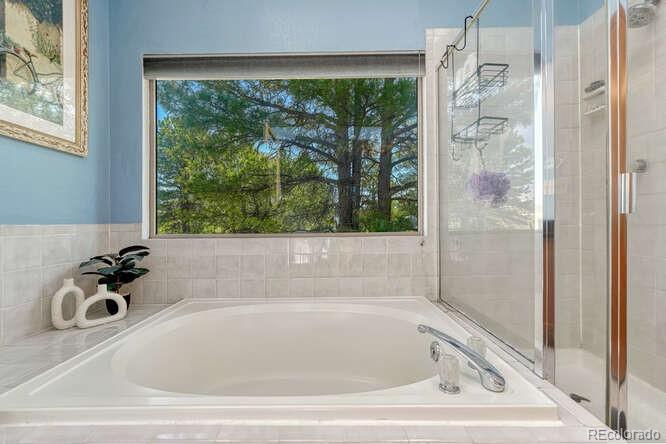 MLS Image #23 for 10534  inspiration drive,parker, Colorado