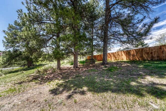 MLS Image #32 for 10534  inspiration drive,parker, Colorado
