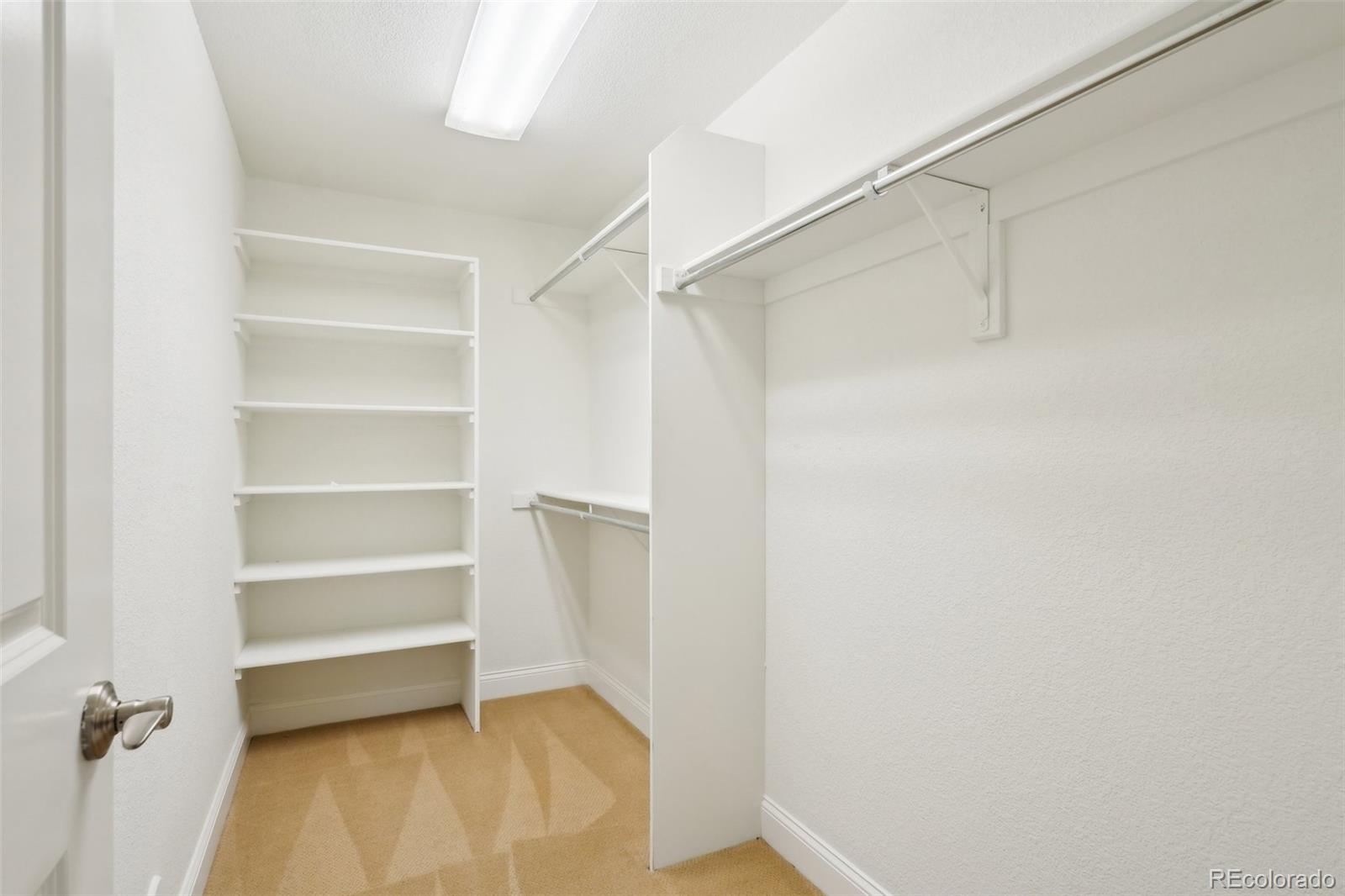 MLS Image #33 for 972  hawkshead street,timnath, Colorado