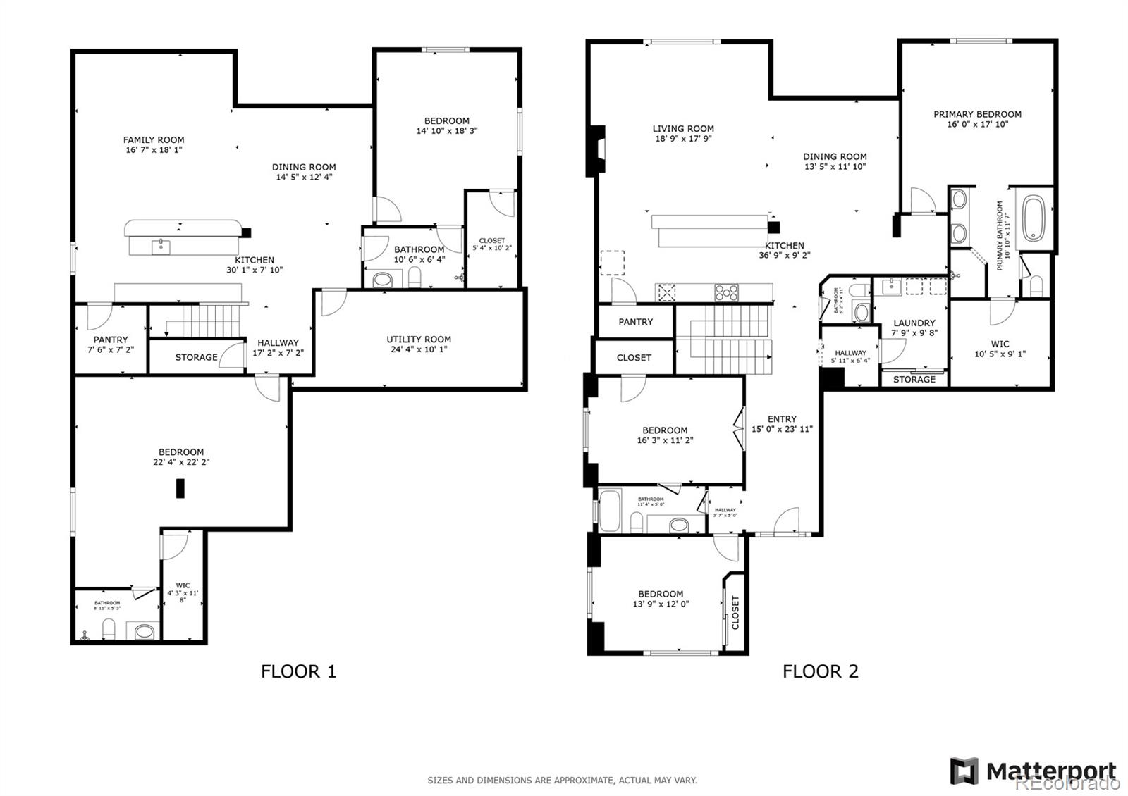 MLS Image #48 for 972  hawkshead street,timnath, Colorado