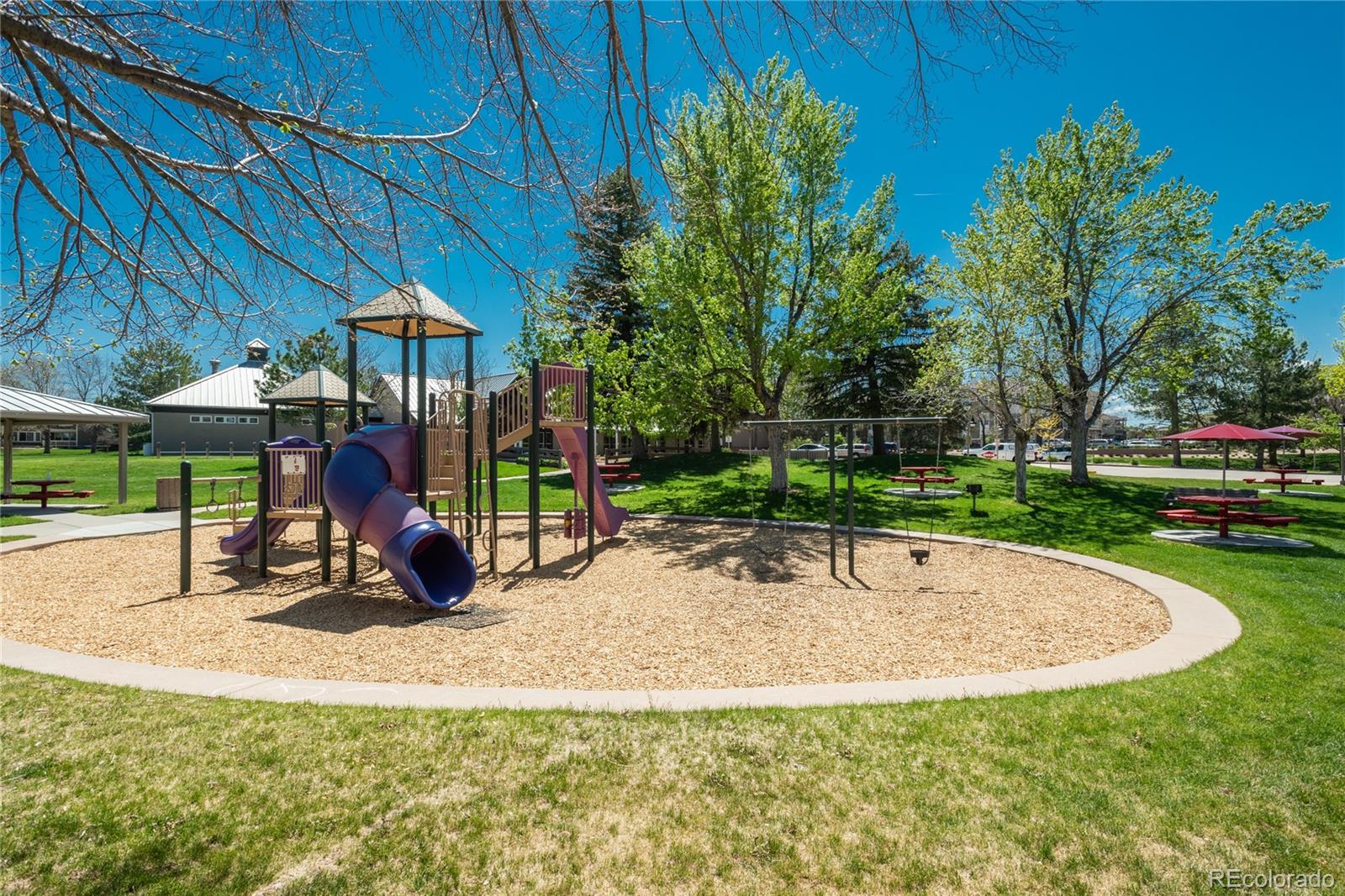 MLS Image #39 for 19099 e creekside drive,parker, Colorado