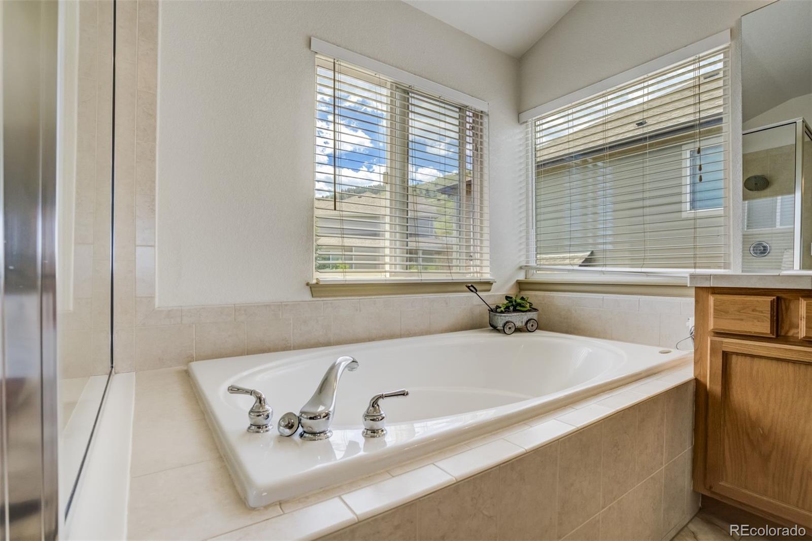 MLS Image #21 for 19105  eagle ridge drive,golden, Colorado