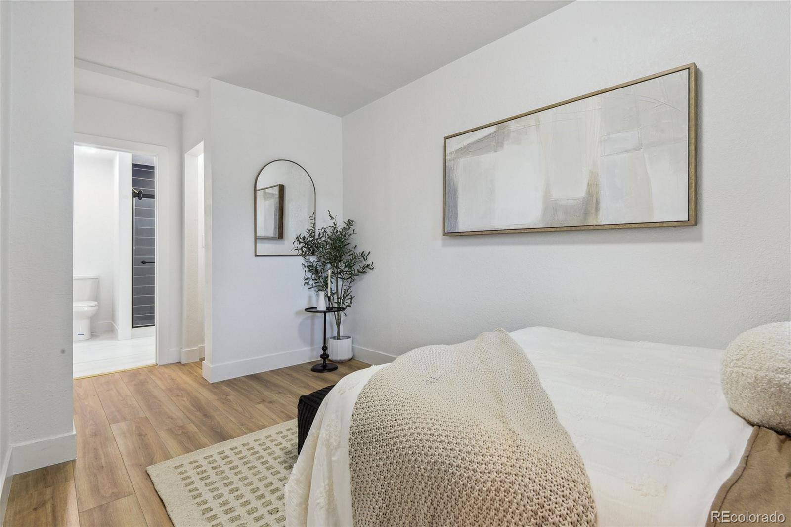 MLS Image #7 for 717  inca street,denver, Colorado
