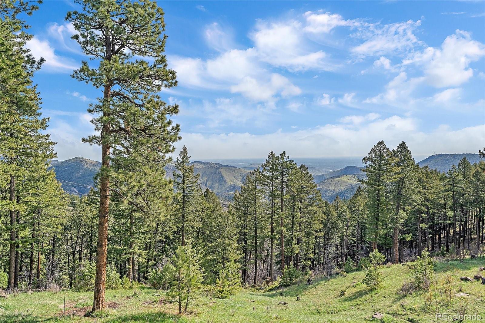 MLS Image #10 for 25601  centennial trail,golden, Colorado