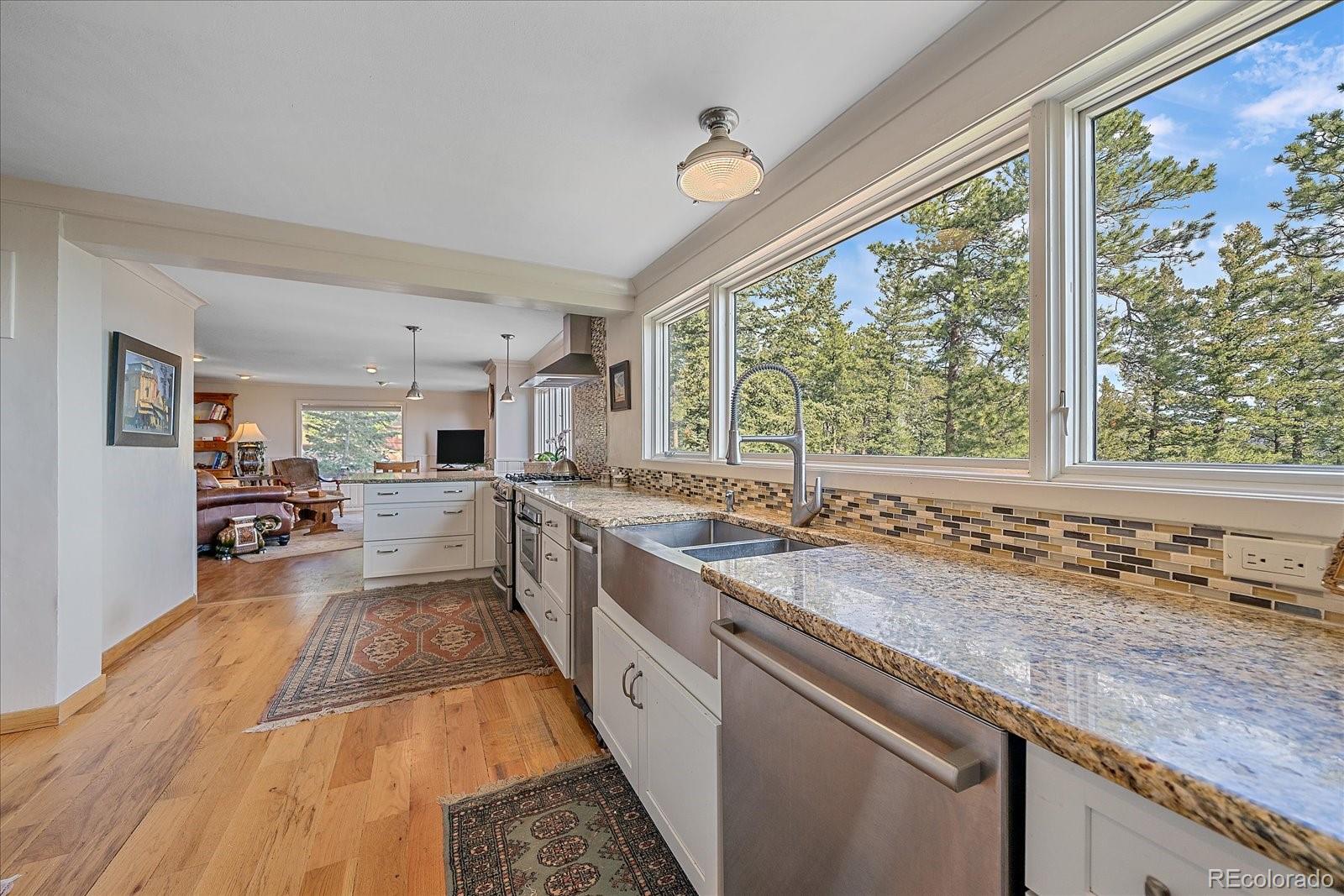 MLS Image #12 for 25601  centennial trail,golden, Colorado