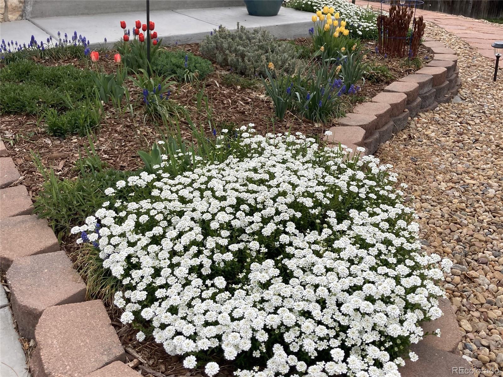 MLS Image #41 for 7466 e long circle,centennial, Colorado