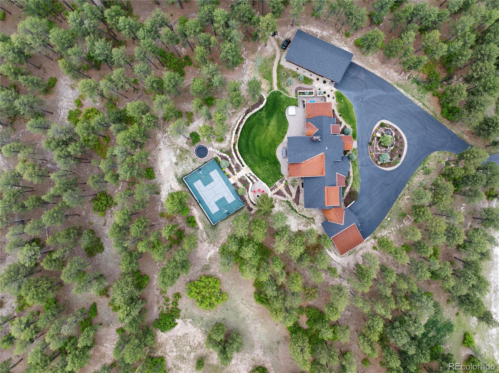 MLS Image #4 for 44 n big meadow trail,franktown, Colorado