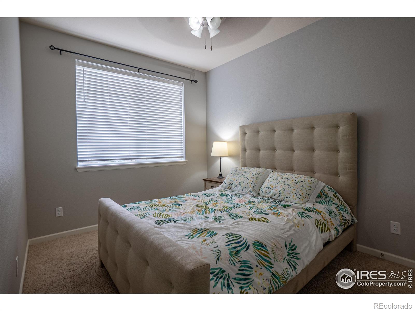 MLS Image #17 for 107  ibiza court,windsor, Colorado